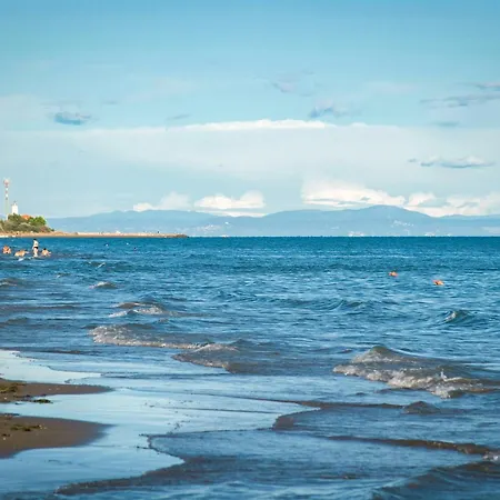 In 38283 Apartment *