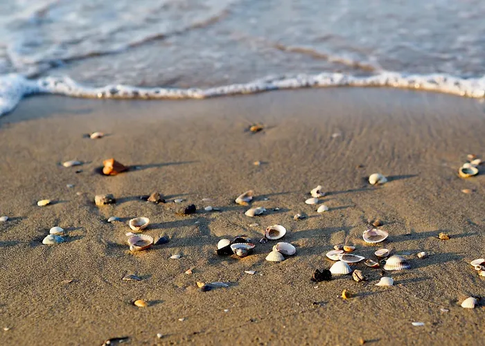 In 38283 Daire Bibione